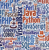 Neal Systems Logo-web development languages in a square