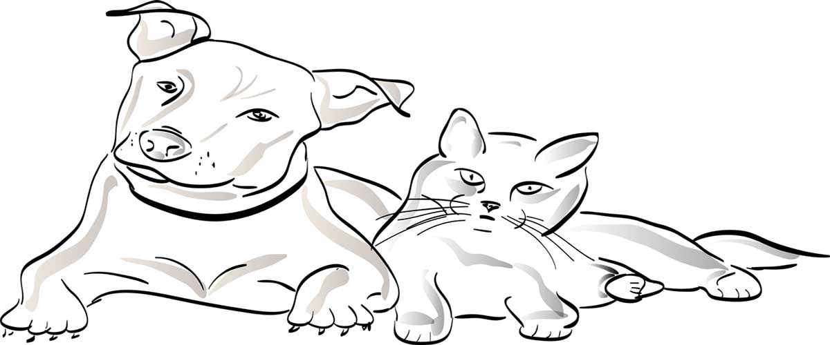 Sketched outline of a cat laying down next to a dog.